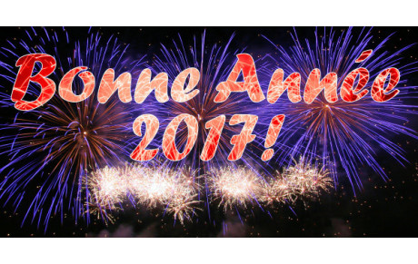 bonne année 2017